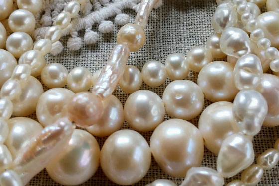 Lucinda | 淡水パール